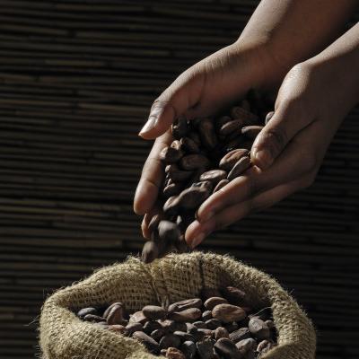Coffe beans 2